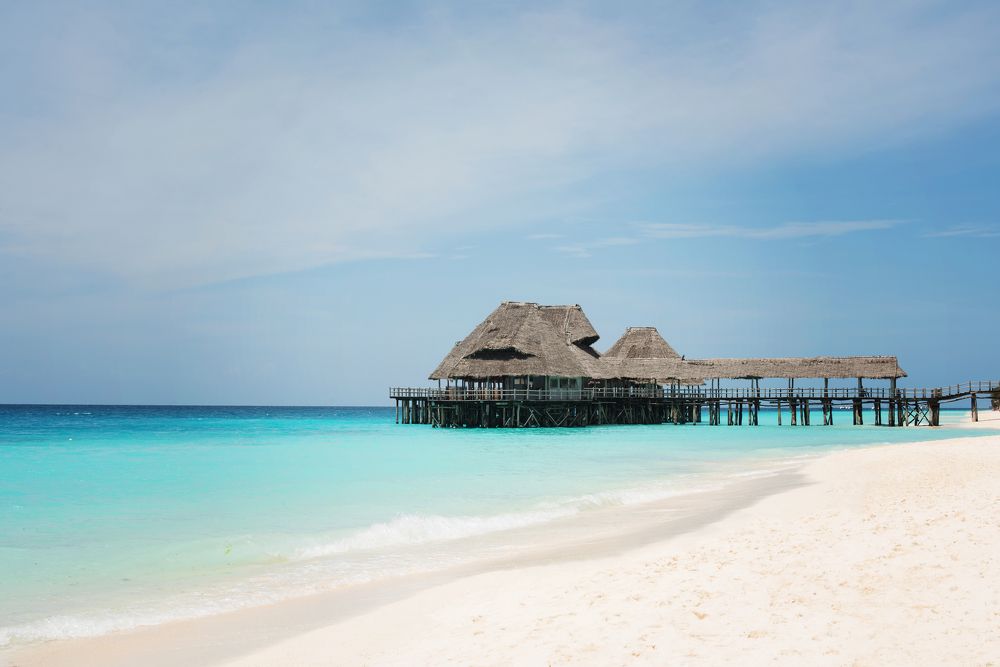 Фотография автора Елена