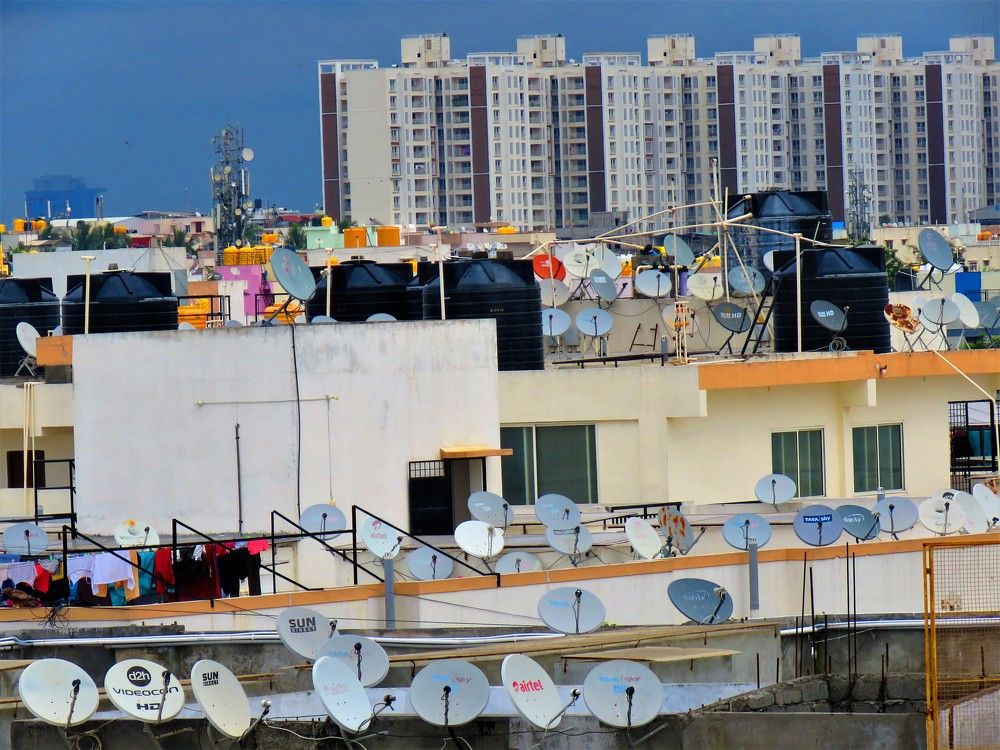 Multiple arrays of dishes on rooftops with tall building in background