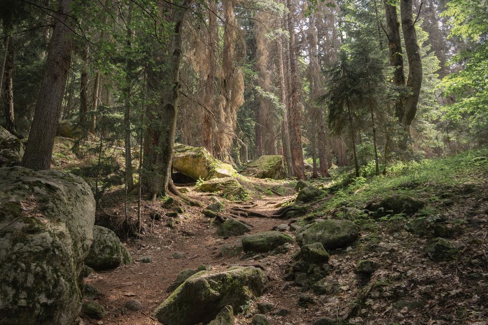 Photograph by Светлана Корнелюк