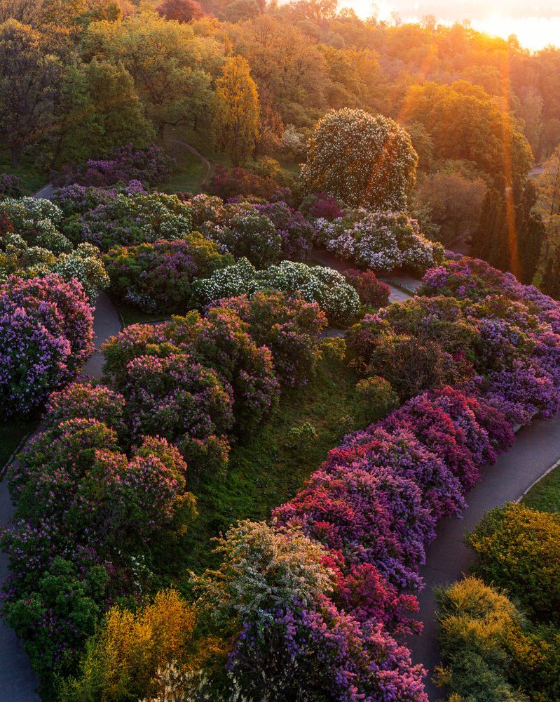 Photograph by Ярослав Титарчук