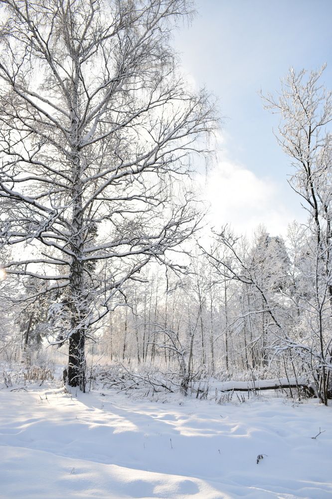 Photograph by Людмила Аненкова