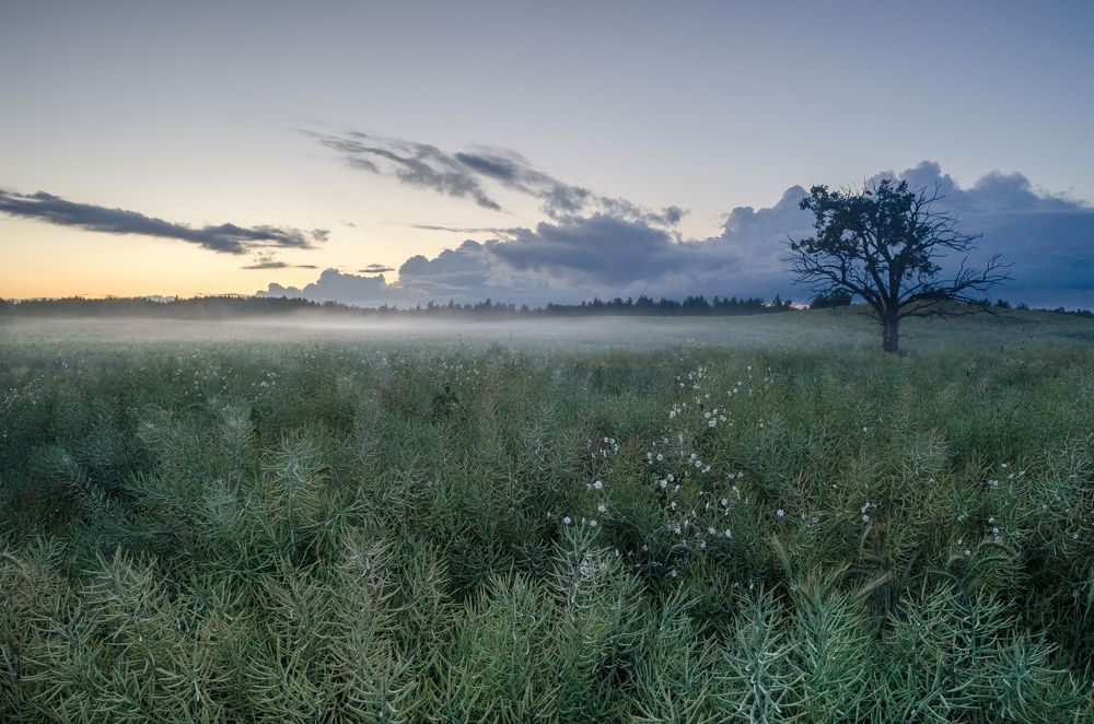 Photograph by Tomas Ivašauskas