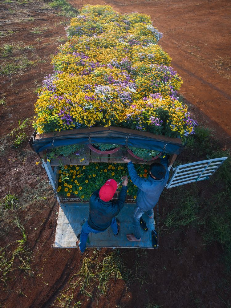 Photograph by Cao Ky Nhan