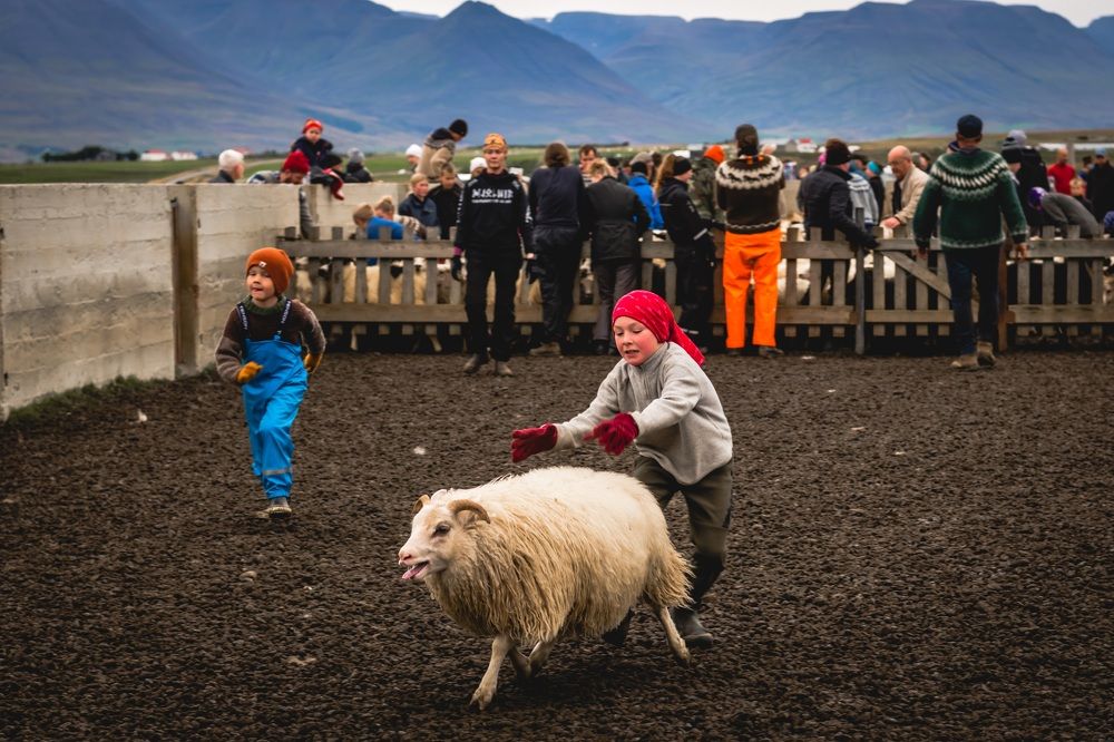 Photograph by Agnieszka Wieczorek