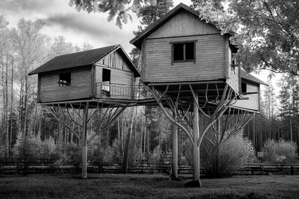 Photograph by Olga Zdančuka