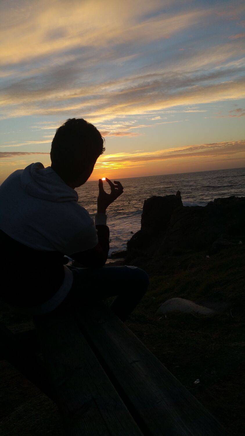 Photo #7351871