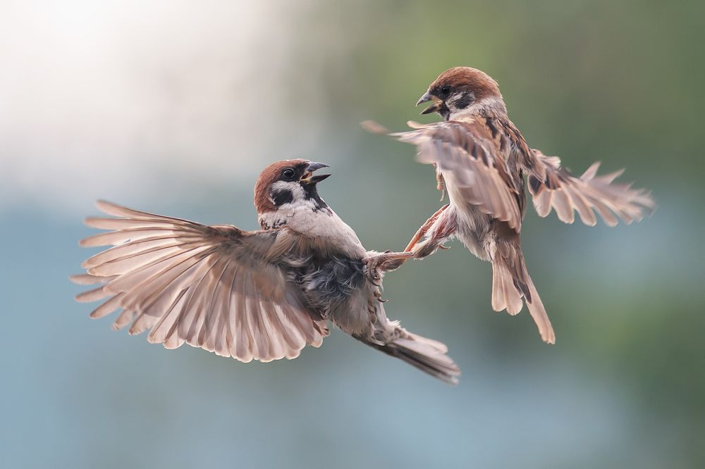 Photograph by Наталья