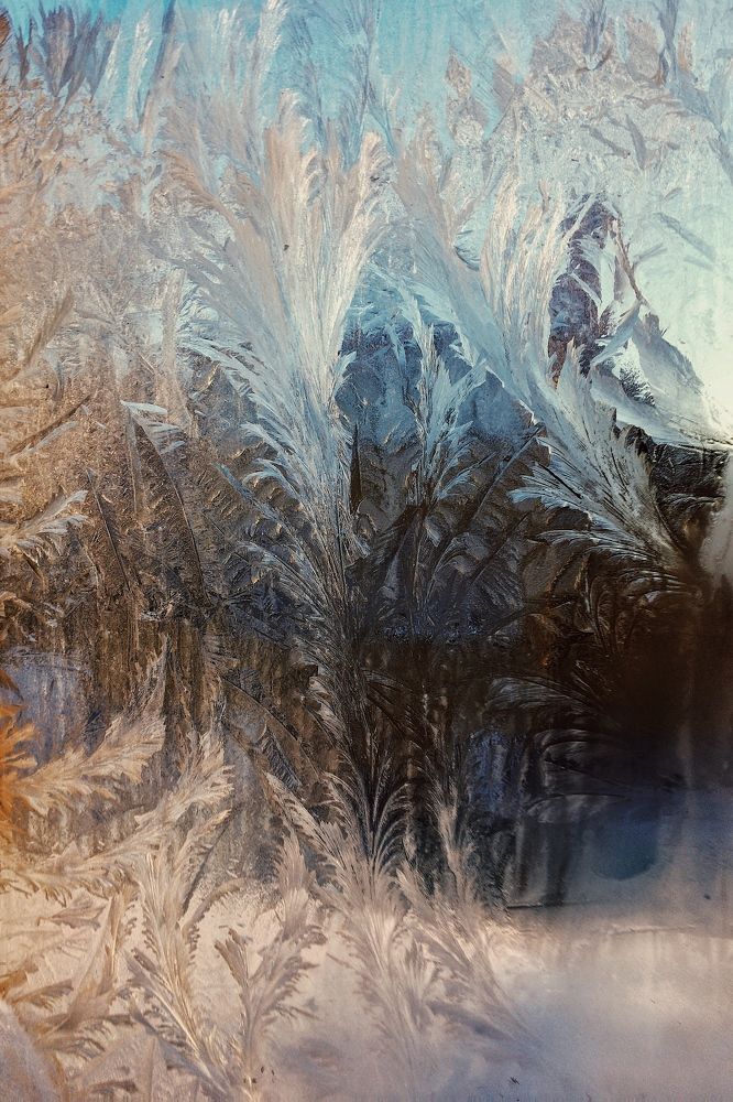 Photograph by Гребёнкина Ирина