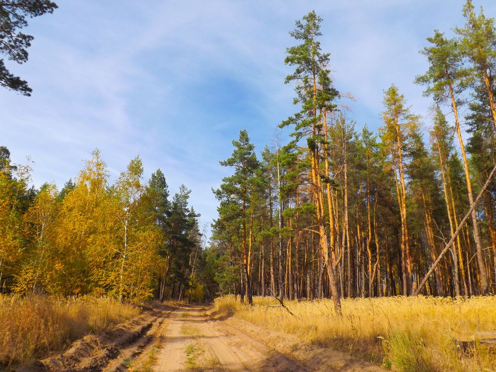 Photograph by Владимир Рябов
