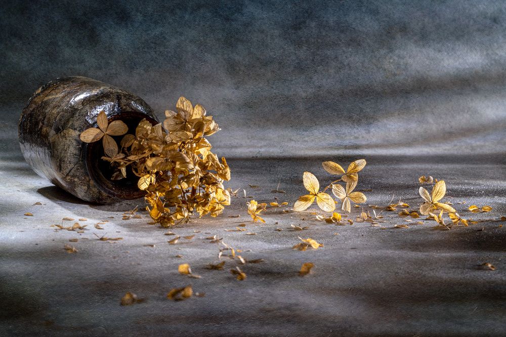 Воспоминание осени