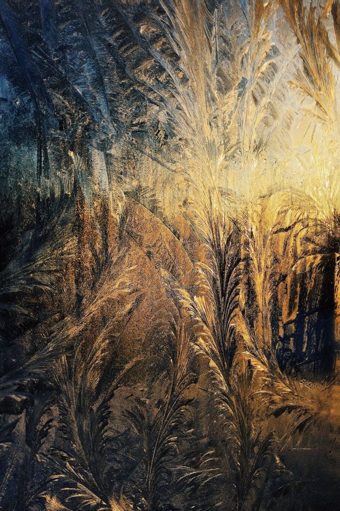 Photograph by Гребёнкина Ирина