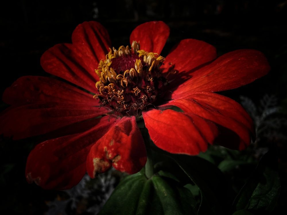 Photograph by Мария Колоскова