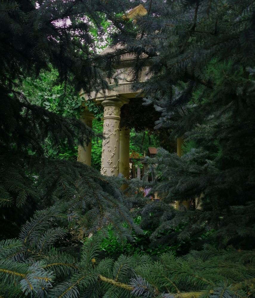 Photograph by Валентина Дворниченко