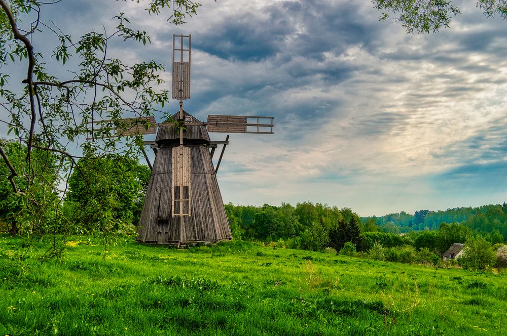 Фотография автора Oleg Podlesnykh