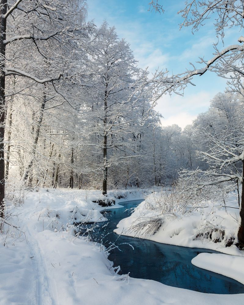 Photograph by Сергей Савельев