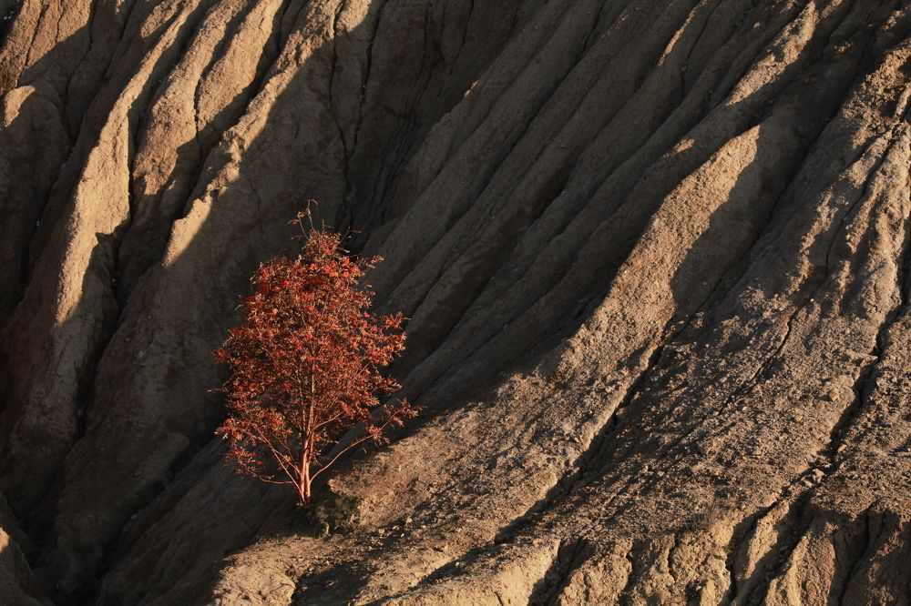 Грустно одному