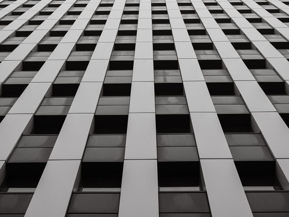 Photograph by Ash Amadian