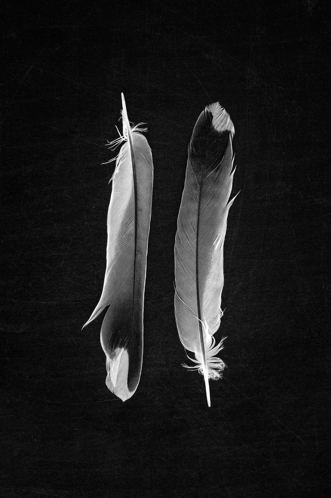 Photograph by Алла Вовк