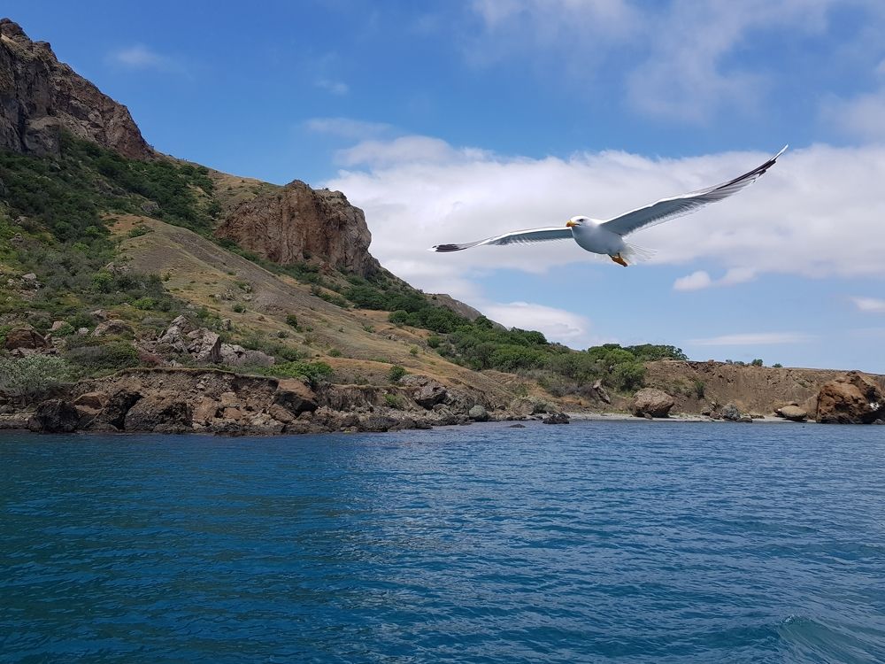 Photograph by Григорий Гуцол