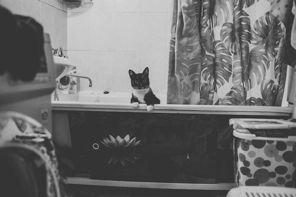 Photograph by Алена Полищук