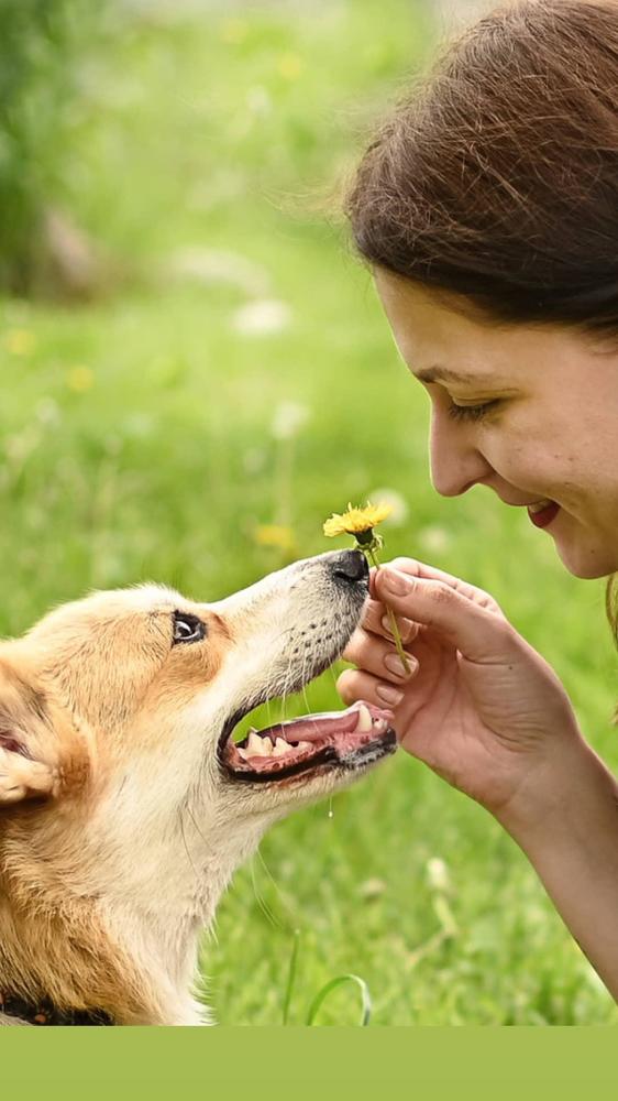 Photograph by Милана Бабченко