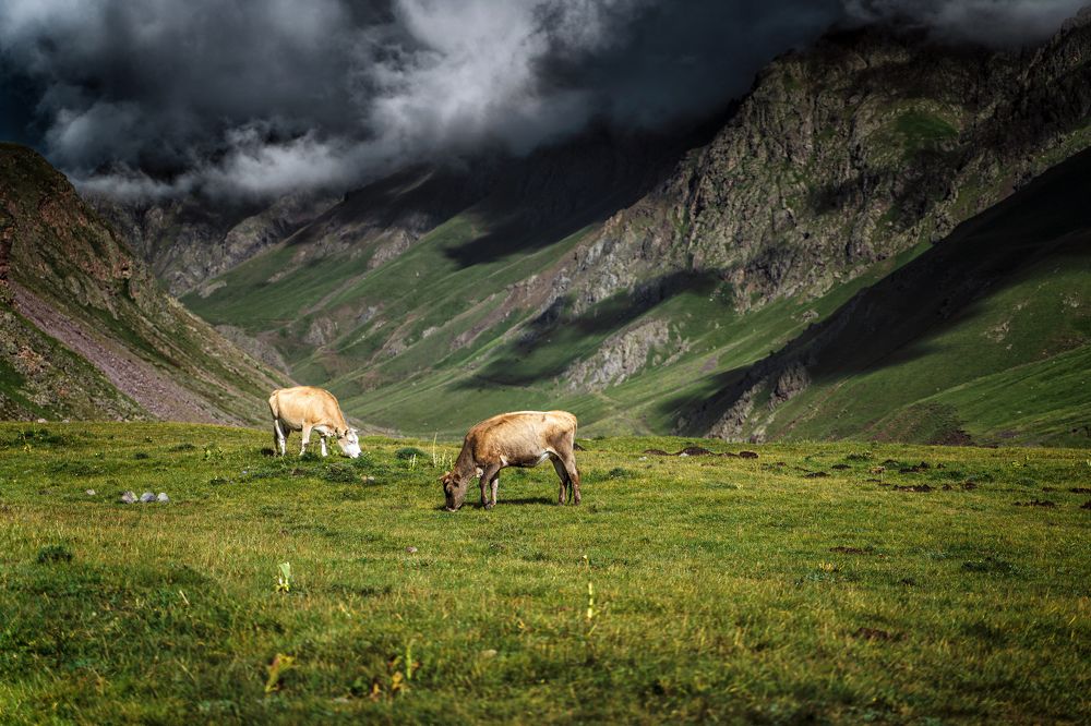 Photograph by Maksim Miroshnichenko