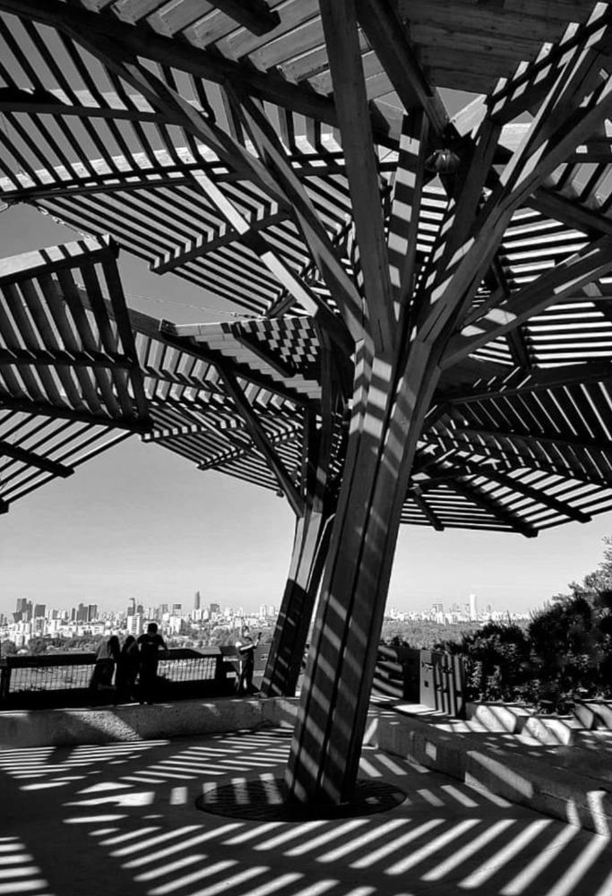 Photograph by Polina Svirida