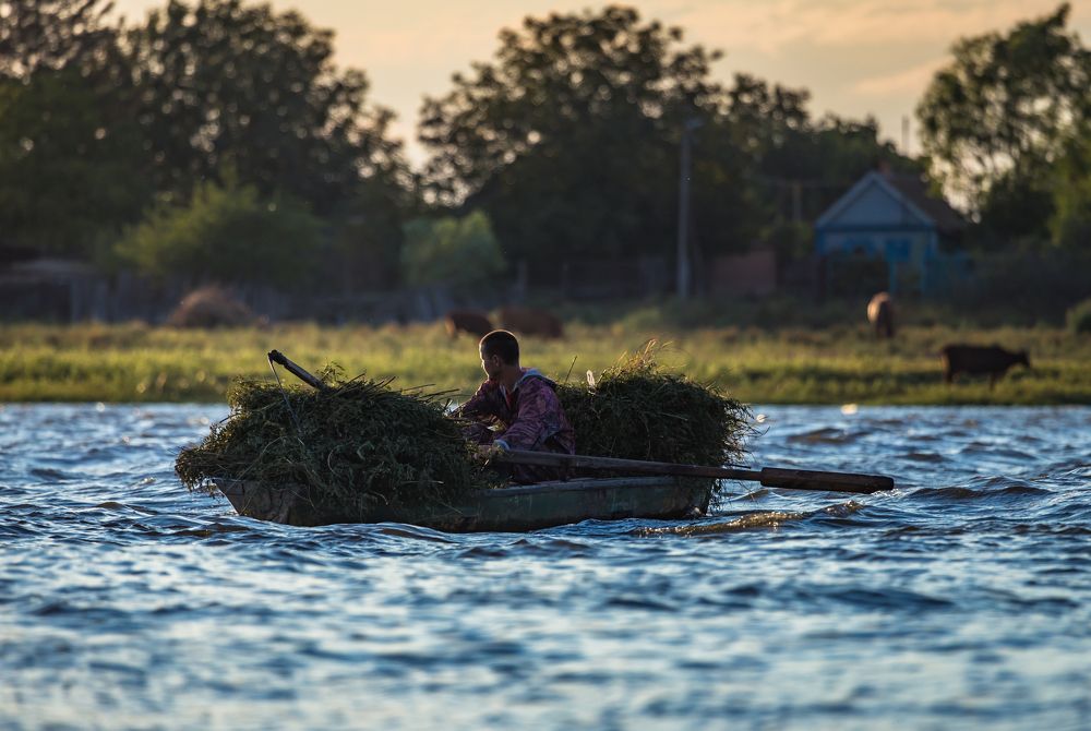 Photograph by Дмитрий Власов