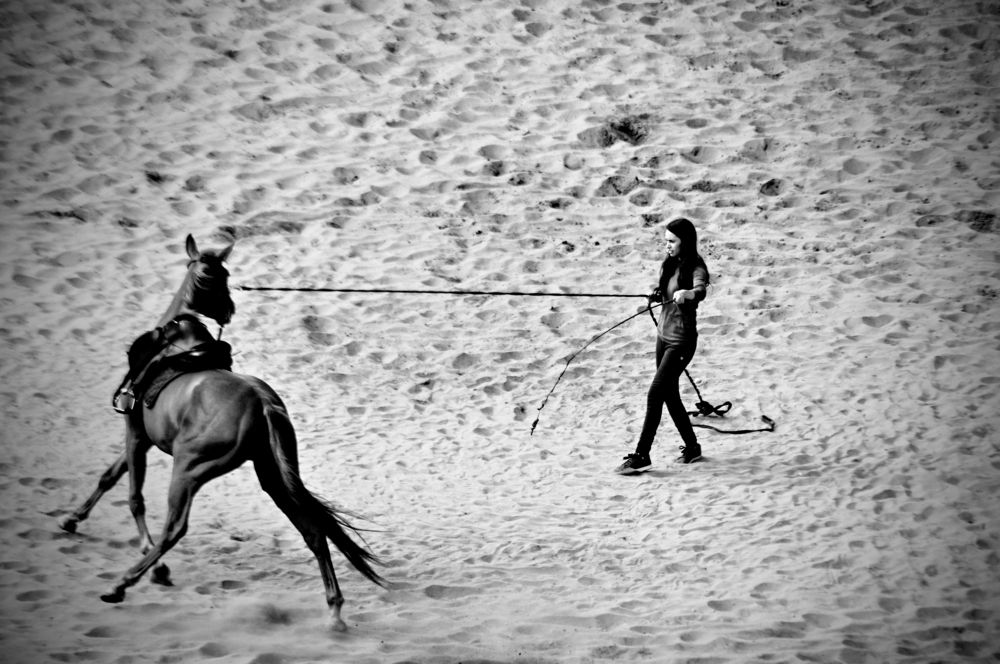 Photograph by Stoyan Baev