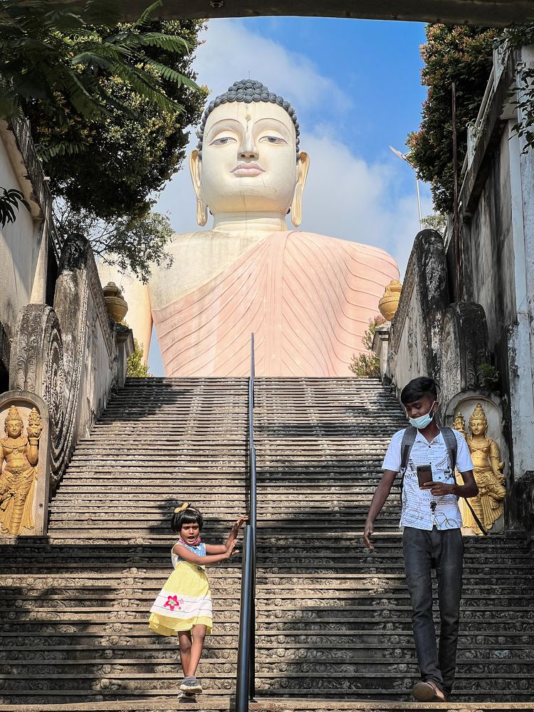 Фотография автора Андрей Пожарский