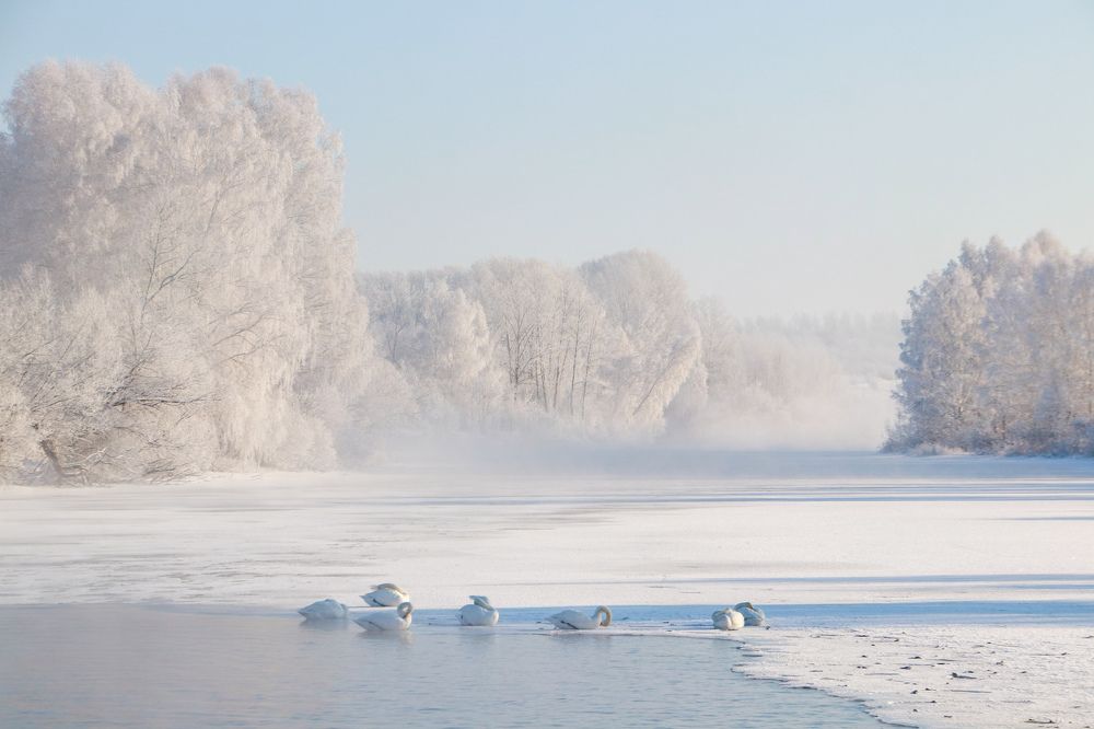 Photograph by Наталья Трифуз