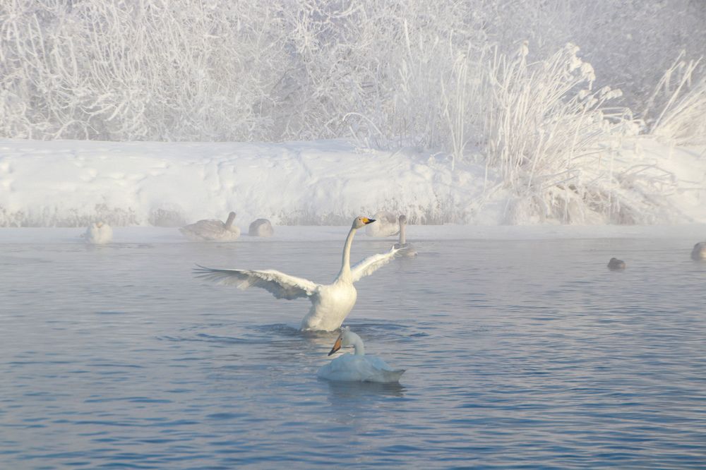 Photograph by Наталья Трифуз