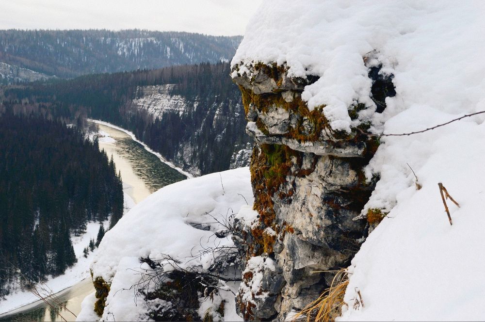 Photograph by Злобин Сергей