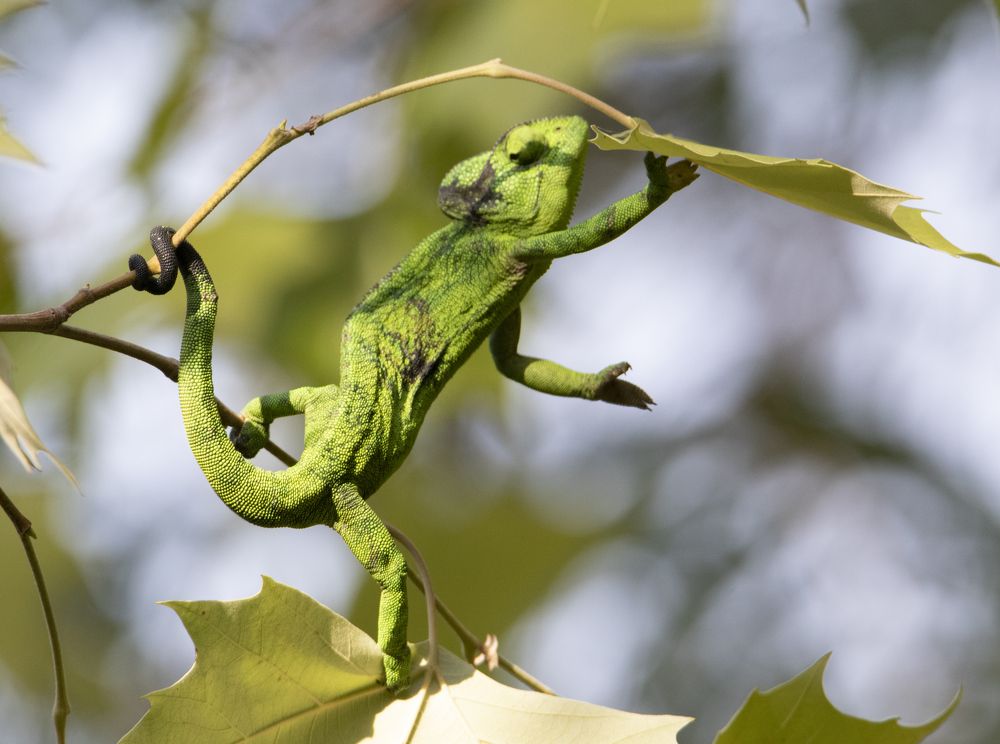 Photograph by Валентина Лопаткина