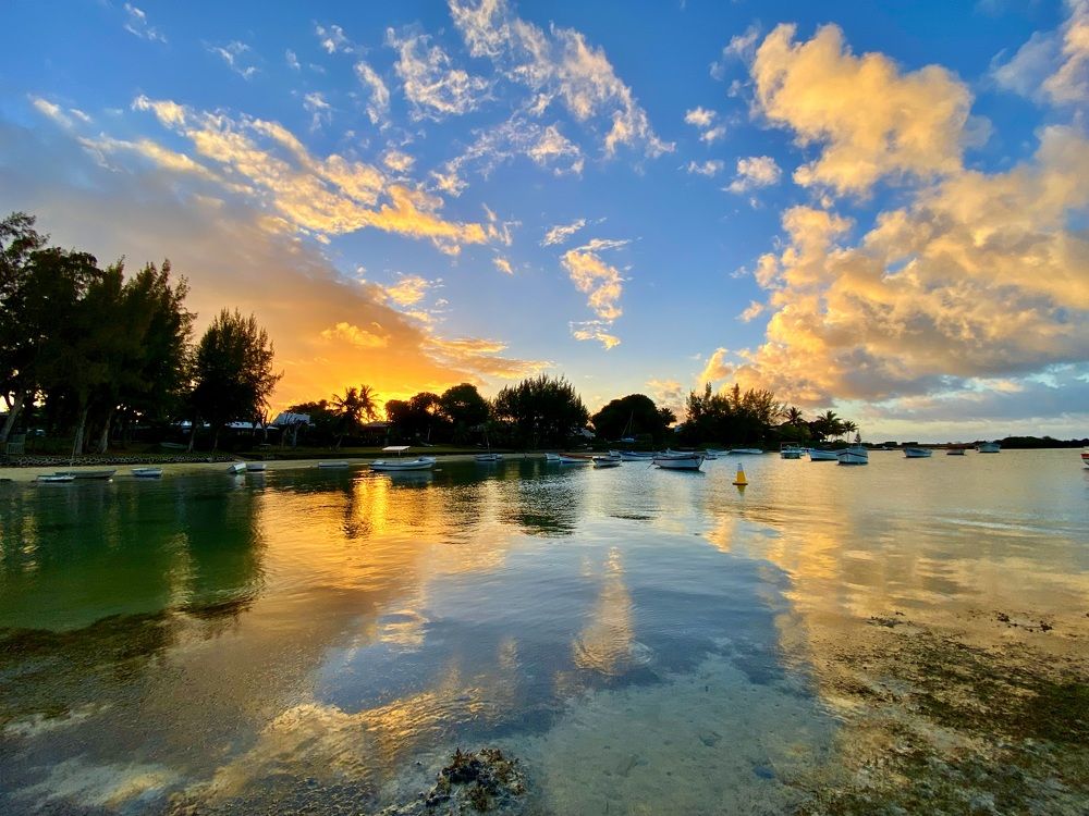 Photograph by Arthur