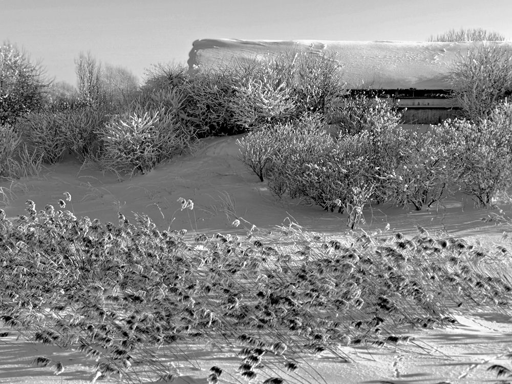 Photograph by Степанов Евгений