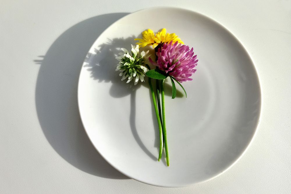 Photograph by Alisa
