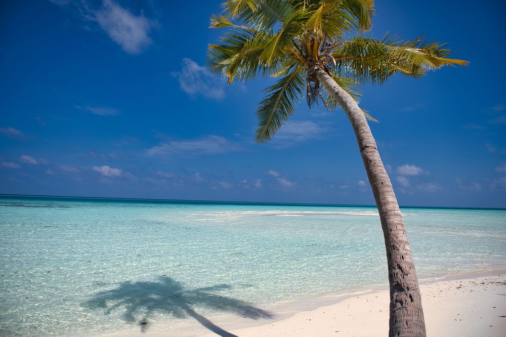 Photograph by Михаил Ноеренчук