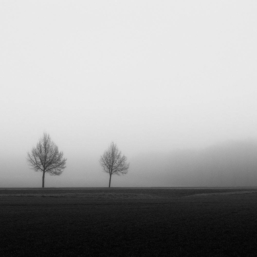 Photograph by Lukasz Maliszewski