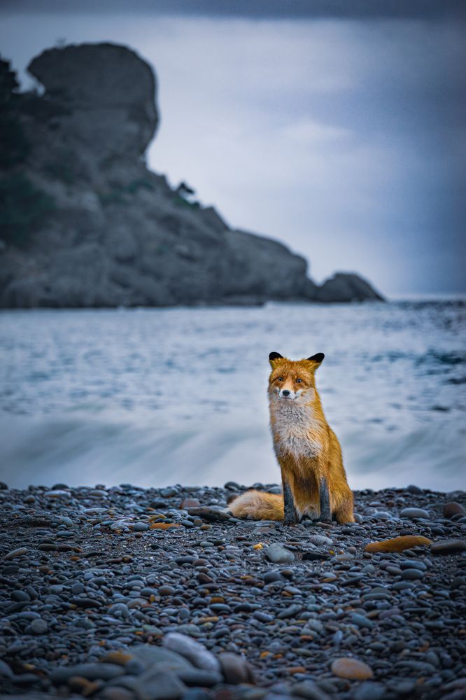 Вот так встреча!