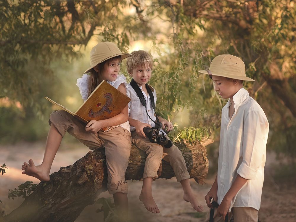 Путешественники