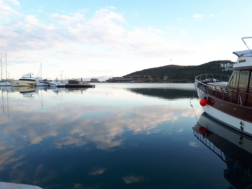 Photograph by NINA NOVIKOVA