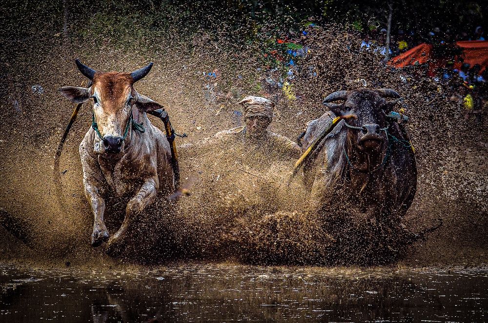 Photograph by Ridwan Ridwan