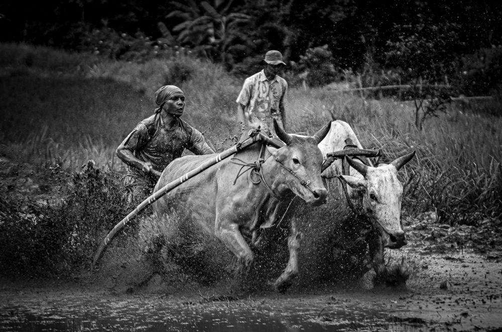 Photograph by Ridwan Ridwan