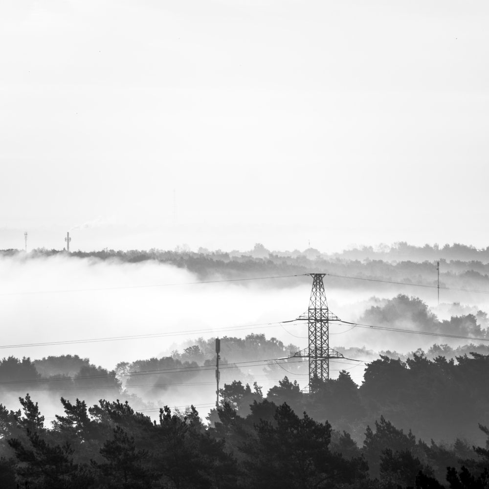 Photograph by Илья Пономарев