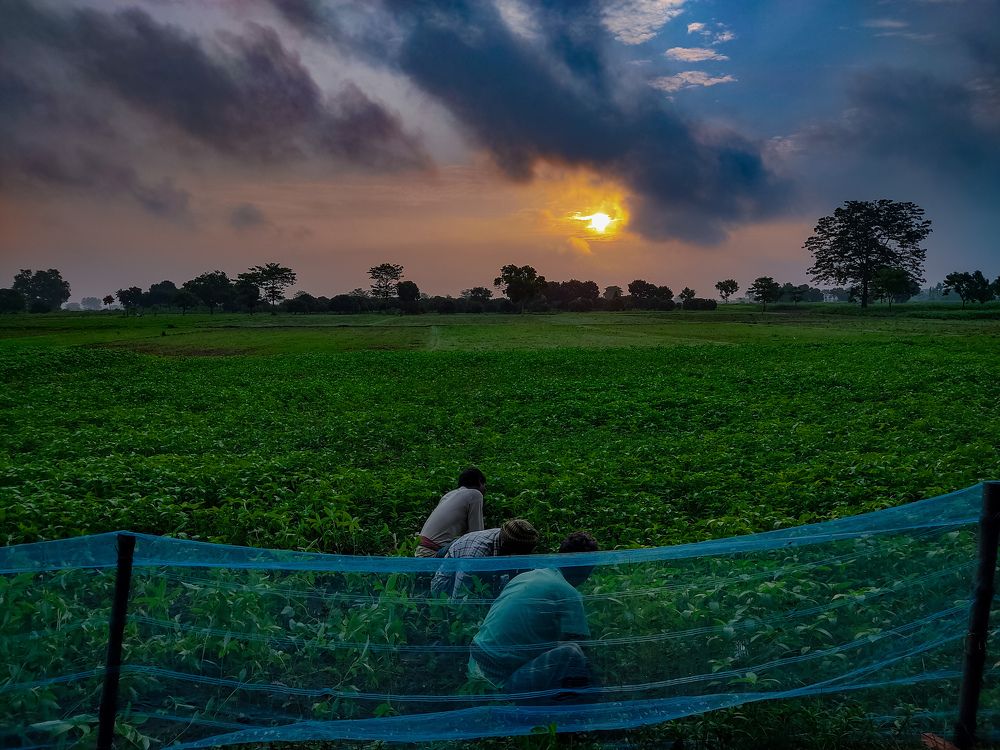 Photograph by Pramit Das