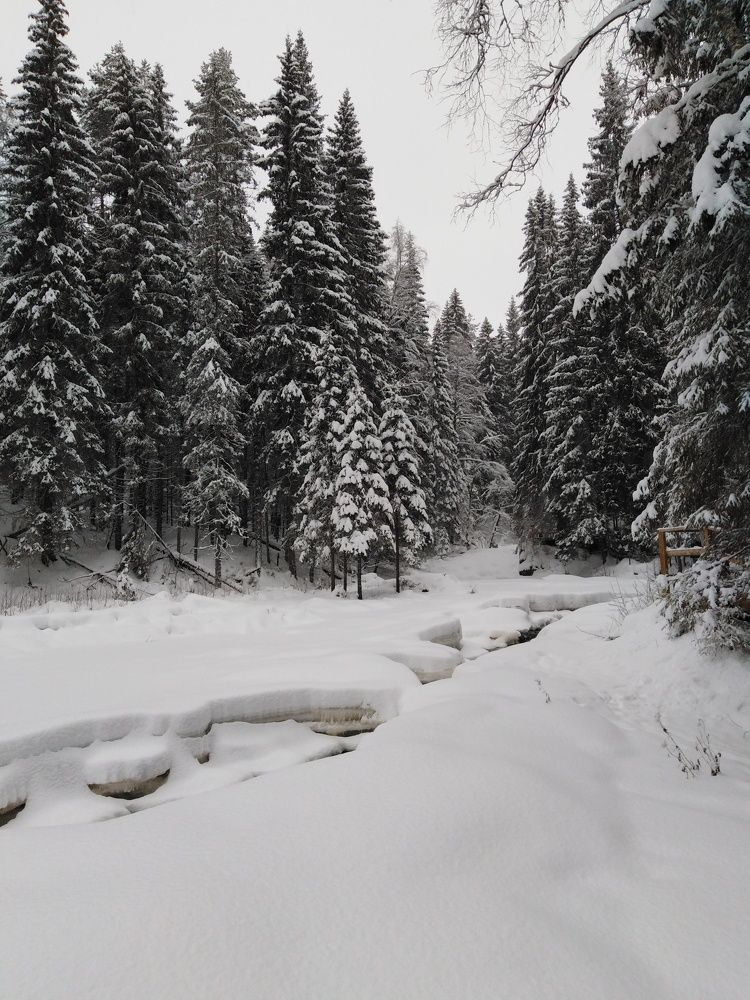 Photo #7353137