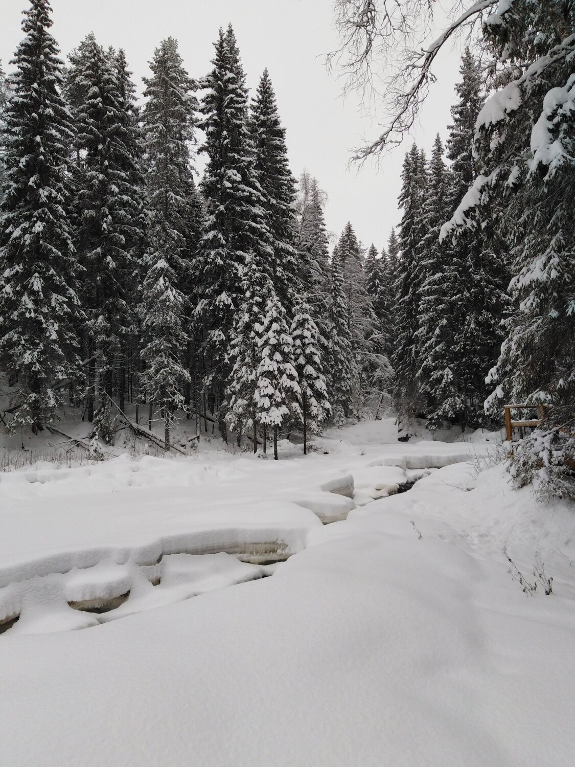 Photo #7353137