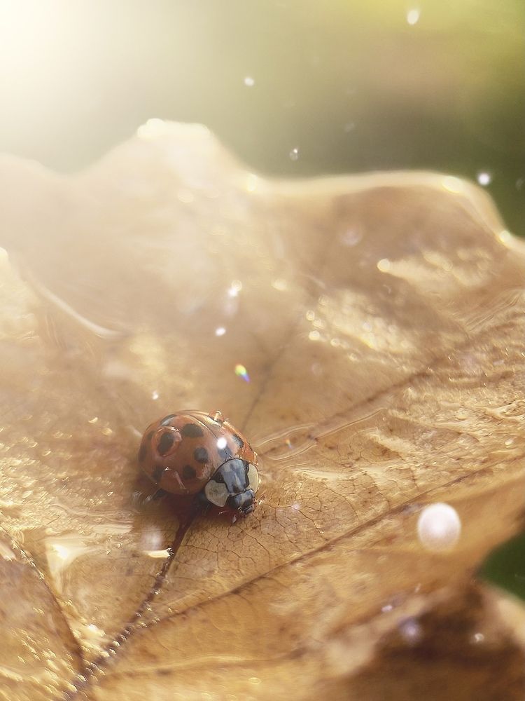 Photograph by Ольга Мурзина