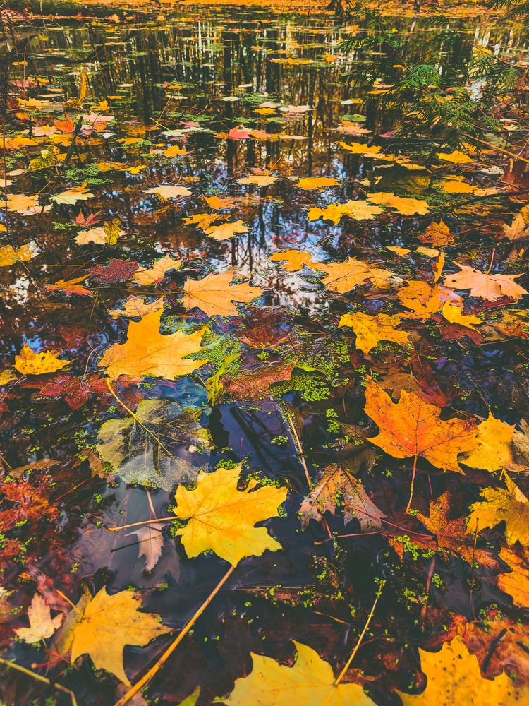 Photograph by Greg Noakes